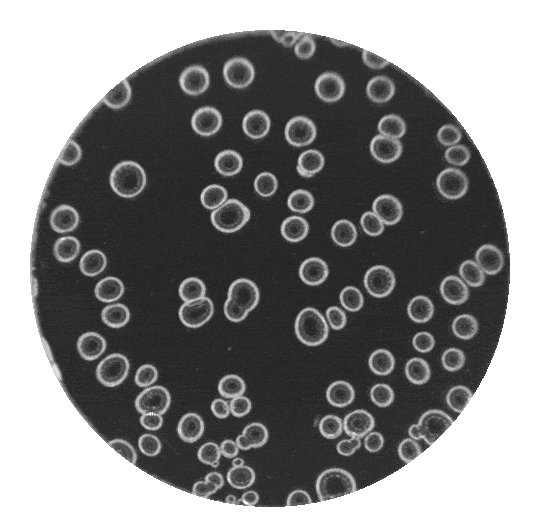 Code à bulles Identité numérique du citoyen